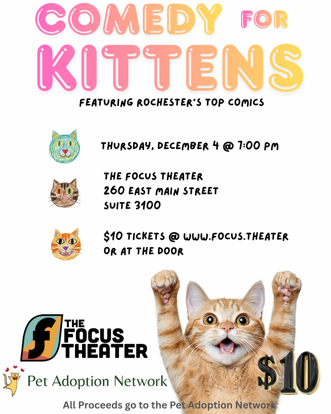 Comedy for Kittens - (12/4)